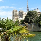 Seine Riverside - Notre Dame - Erasmus of Paris
